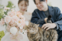 【大阪フォトウエディング】ペット撮影は、ラフエイトでおしゃれに!