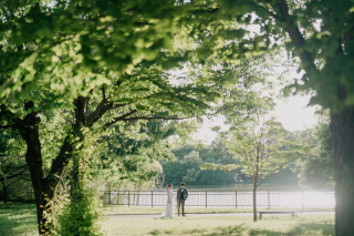緑の季節がもう間も無くやってきます！