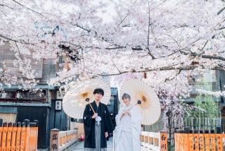 桜の季節ですね！！春がやってきました！