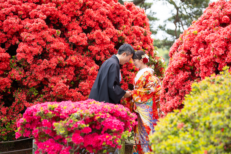 ~偕楽園季節ごとのお写真❀4月~5月~