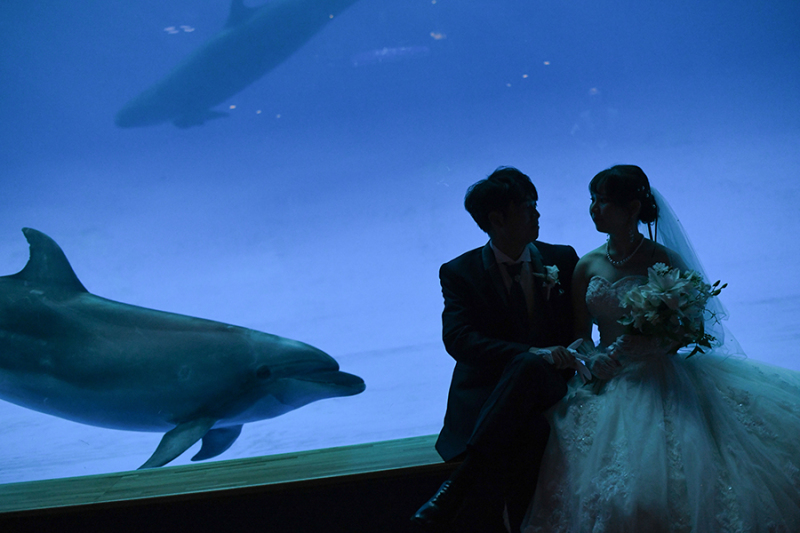 ～水族館ロケのご紹介館内編～