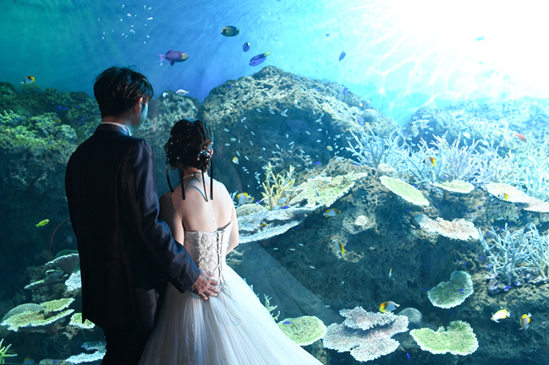 ～水族館ロケ沖縄の海＆3種類の水槽編～