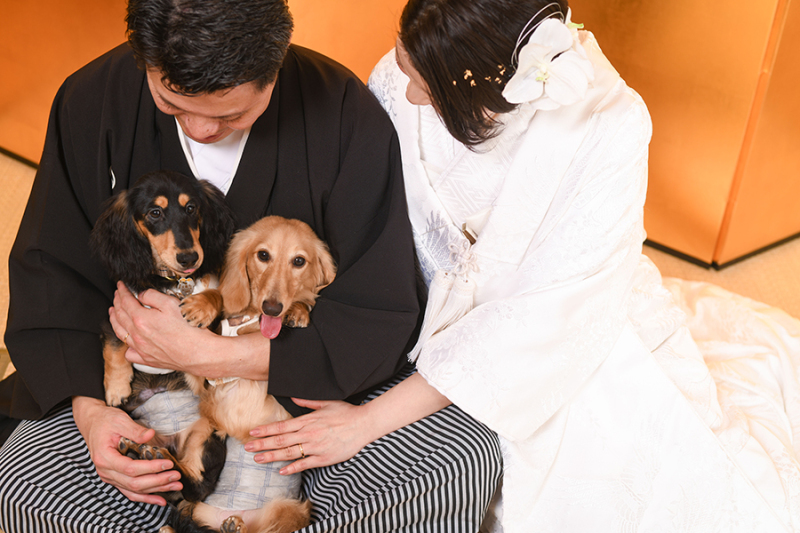 ~ペット撮影~