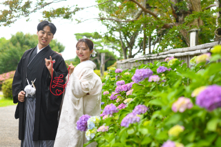 ～今年の紫陽花～