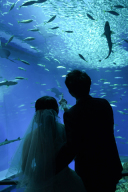 ～水族館ロケ館内大水槽編～