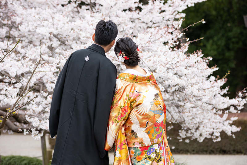 ~偕楽園季節ごとのお写真❀4月~5月~