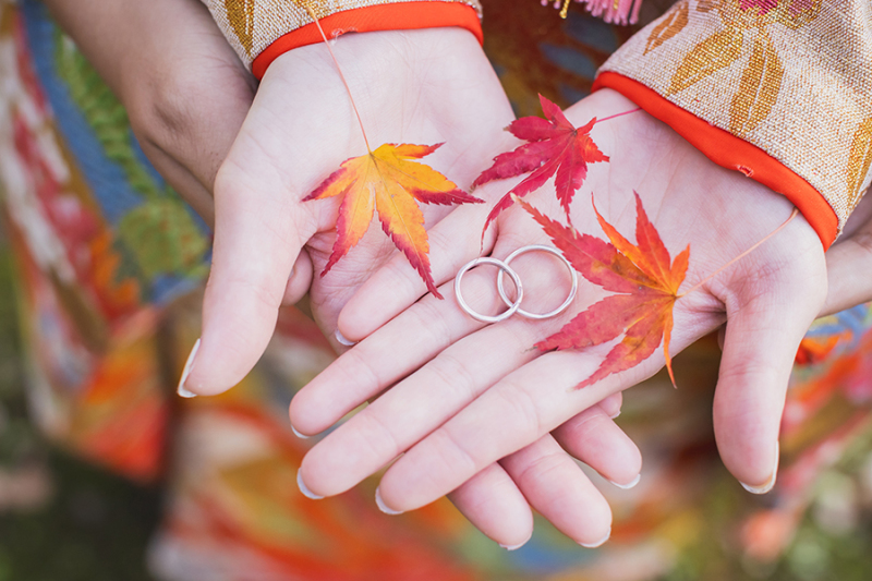 ~偕楽園季節ごとのお写真❀10月~12月~