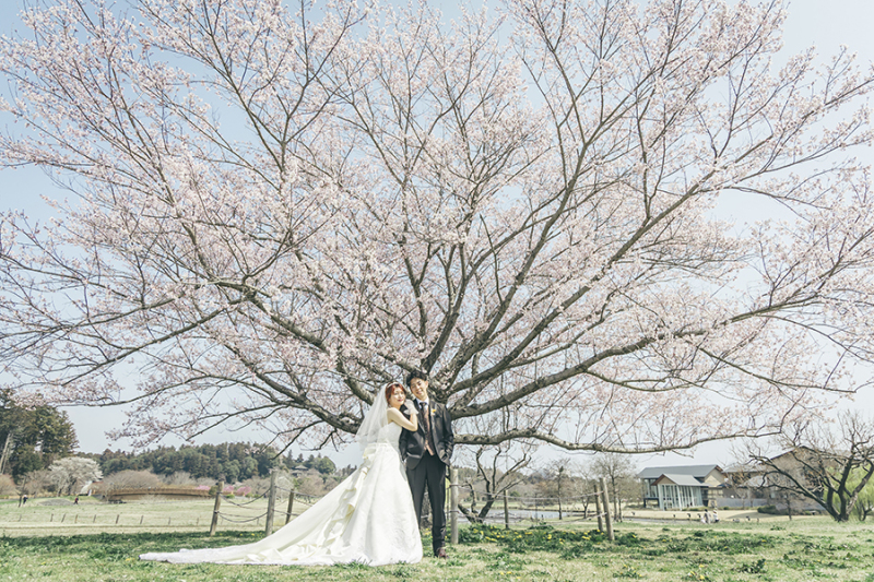 ~偕楽園四季の原~