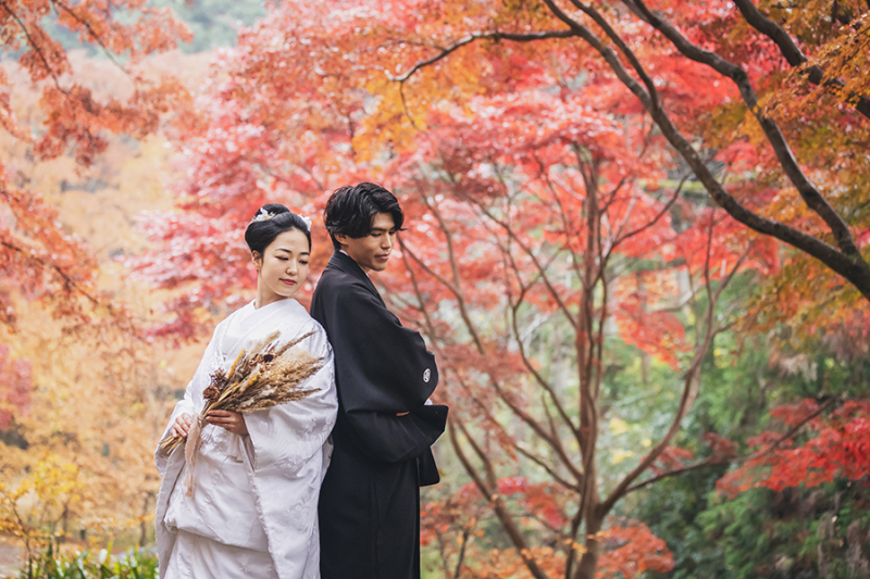 ～今年の紅葉～