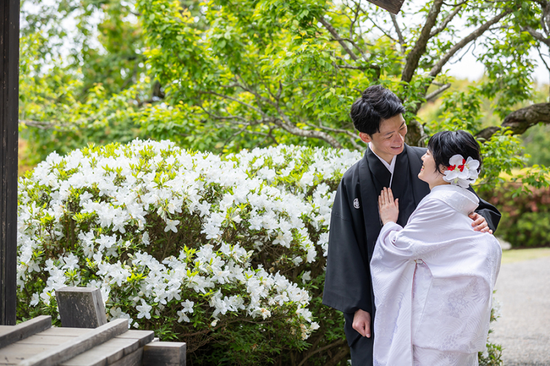 ~偕楽園季節ごとのお写真❀4月~5月~