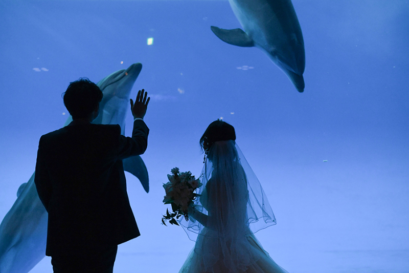 ～水族館ロケ～