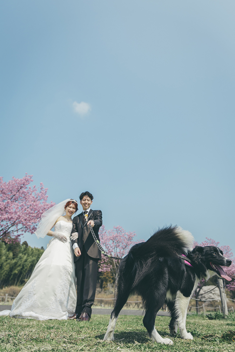 ～ワンちゃんとのお写真～