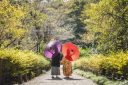 ~最近のお客様のお写真~