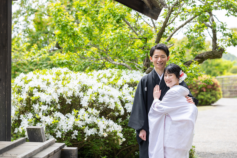 ～偕楽園つつじ藤～