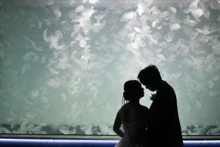 ～快適に撮影できる水族館ロケ～