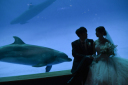 ~水族館撮影~