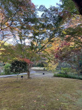 ～もみじ谷の紅葉状況～