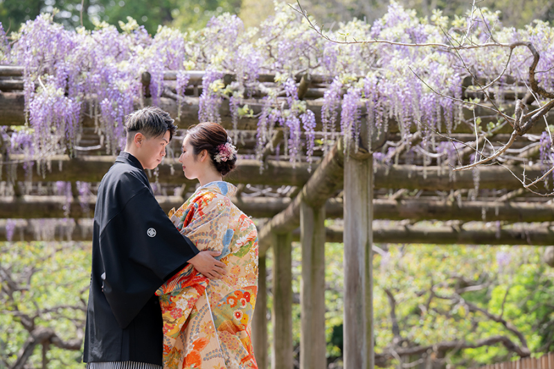 ～偕楽園つつじ藤～