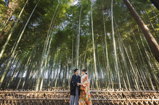 ~偕楽園季節ごとのお写真❀1月~3月~