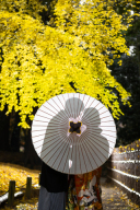 ～12月後半の空き状況のお知らせ～