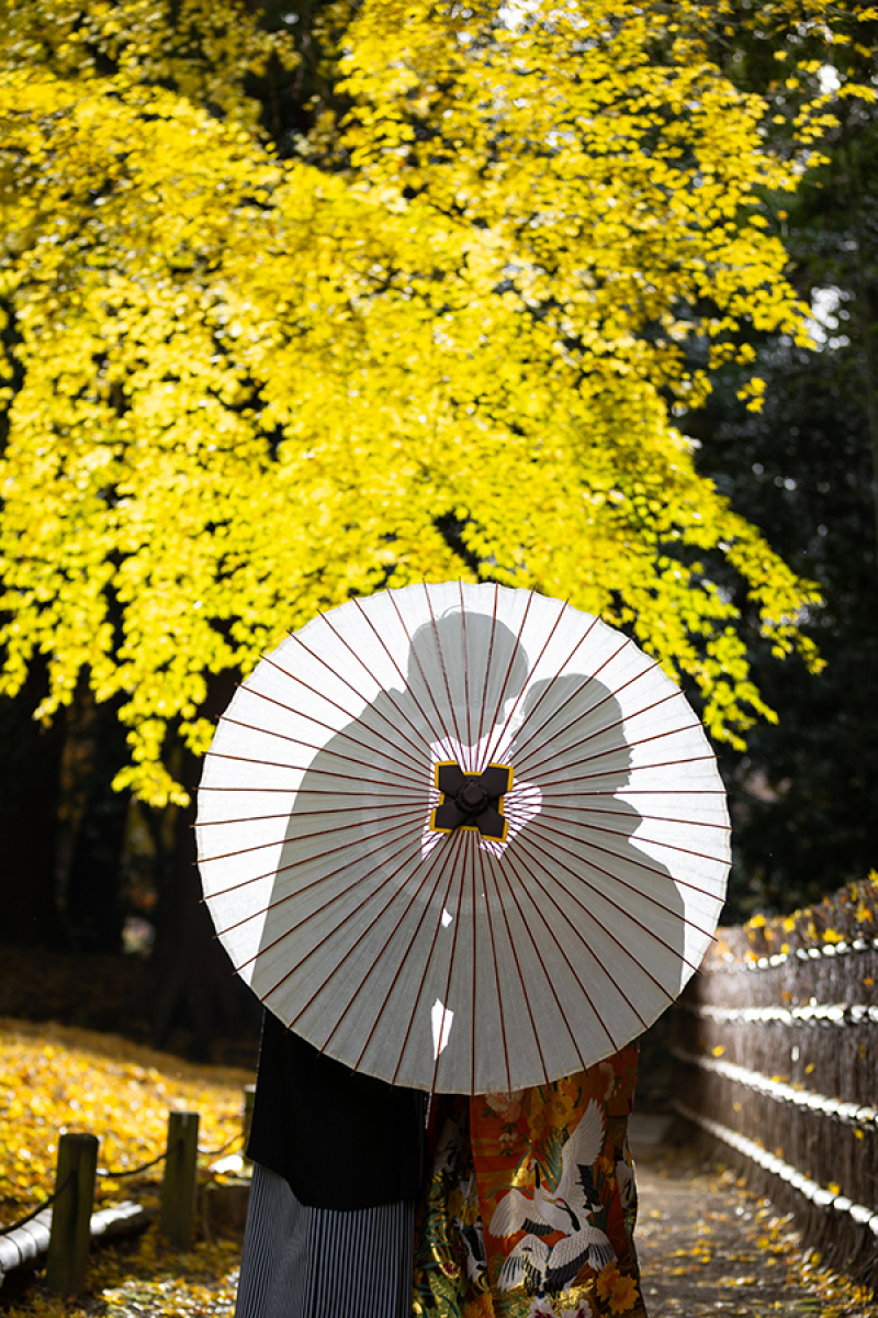 ～12月後半の空き状況のお知らせ～