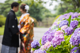 ～まもなく紫陽花～