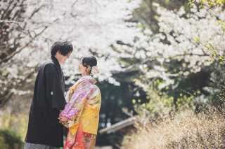 ~偕楽園季節ごとのお写真❀4月~5月~