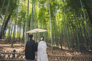 ～新緑シーズン～