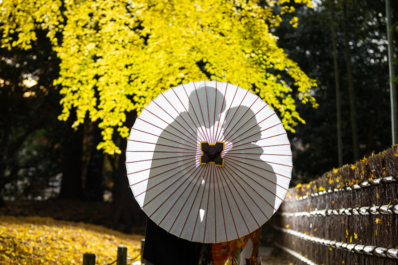 ~まもなく紅葉スタート~