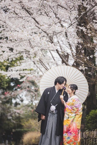 ～桜のお写真のご紹介♪～