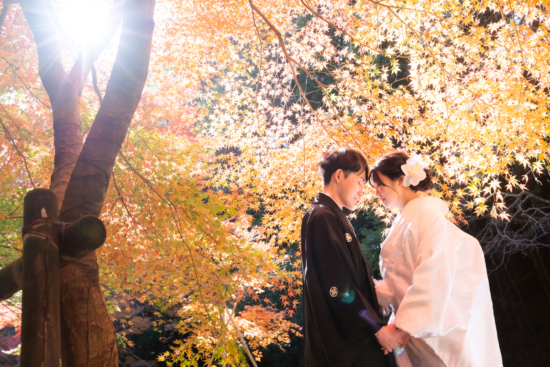 ~昨年の紅葉ロケーションお写真ご紹介~