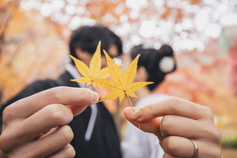 ～今年の紅葉～