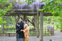 ～偕楽園藤の花～