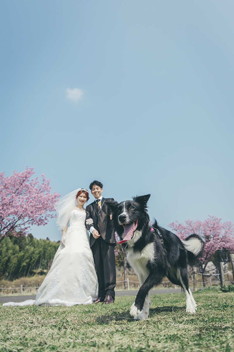 ~偕楽園四季の原~