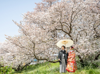 桜ロケーションキャンペーンのご紹介✻