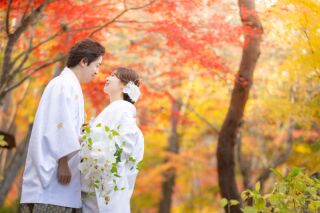 急いで！紅葉早割50％OFFキャンペーン