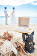 グッズ持ち込みOKです