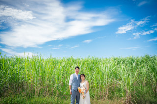 サンセットプランはお得がいっぱい！