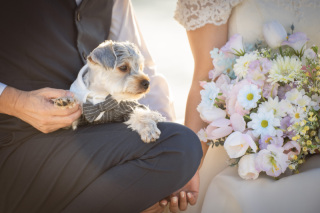 旅行の思い出いっぱい残しましょう!当店は、ご家族様とでも追加料金なし!