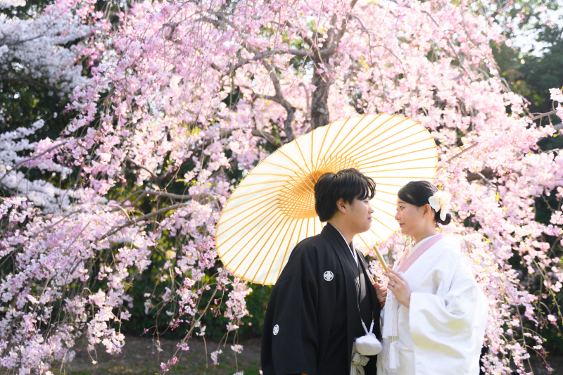 【桜ロケーション撮影/大仙公園】和装1着ロケーションプラン145,000円