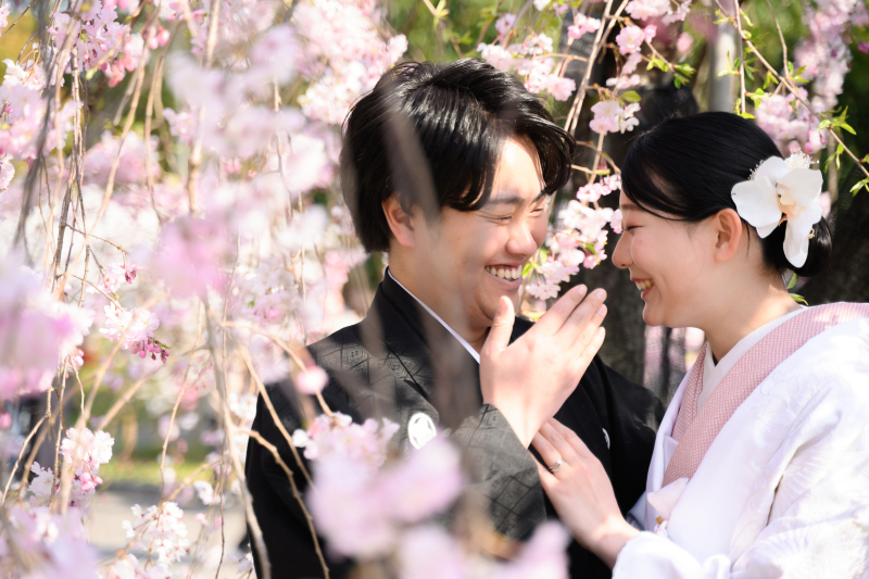 【桜と一緒に!】春のロケーションプラン受付開始☆
