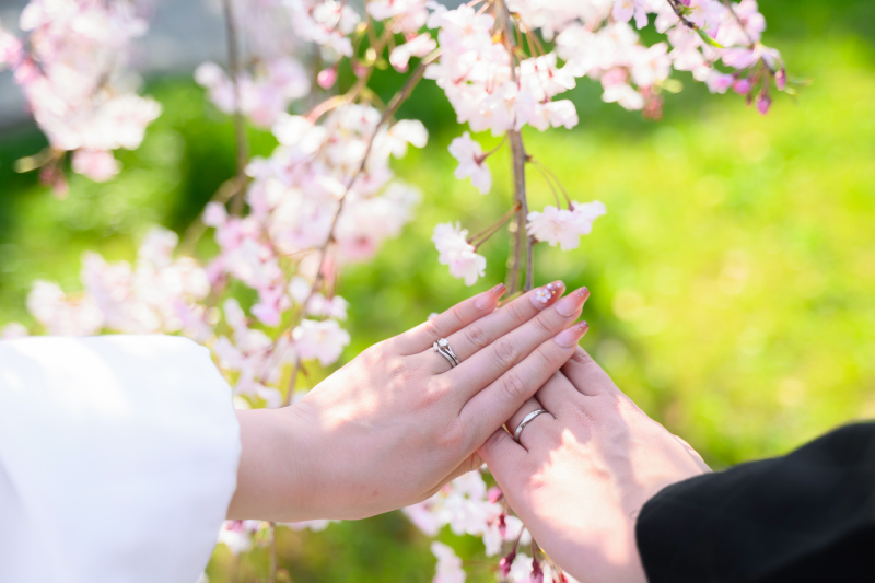 【桜と一緒に!】春のロケーションプラン受付開始☆