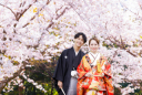 桜ローケーション撮影予約受付中♪