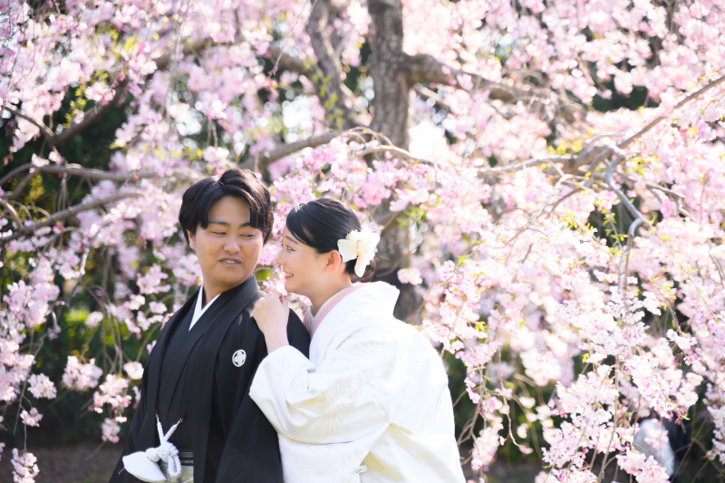 【桜ロケーション撮影/大仙公園】和装1着ロケーションプラン145,000円