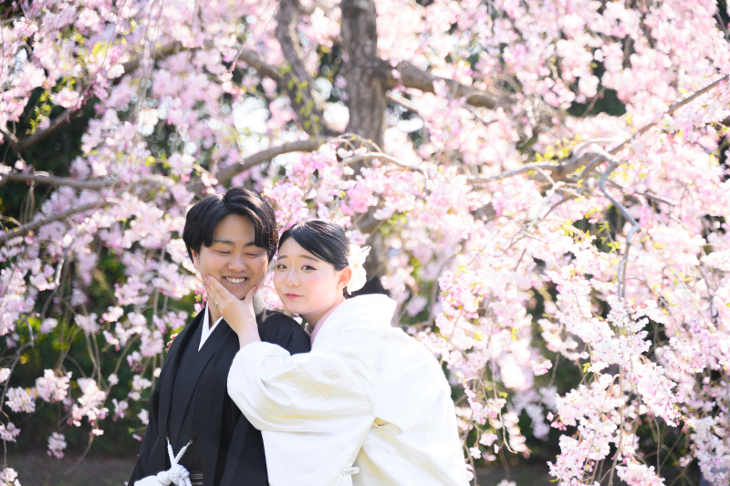 【予約多数☆桜ロケ！】スタジオ＋ロケーション撮影 &yen;148,000