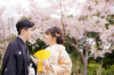 撮影日空き残りわずか！まだ間に合う桜ロケーションプラン♪