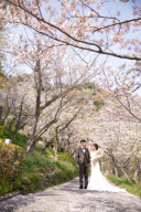 新プラン登場！！