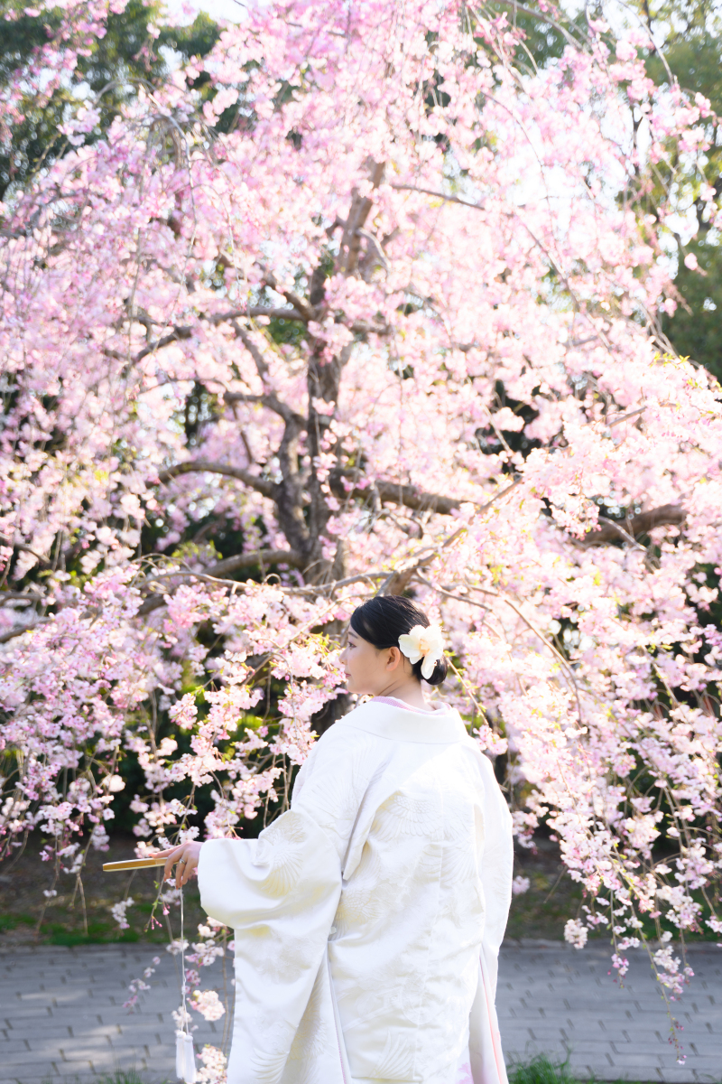 【予約多数☆桜ロケ！】スタジオ＋ロケーション撮影 &yen;148,000