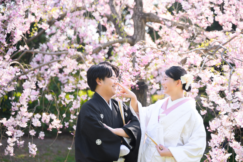 【桜ロケーション撮影/大仙公園】和装1着ロケーションプラン145,000円