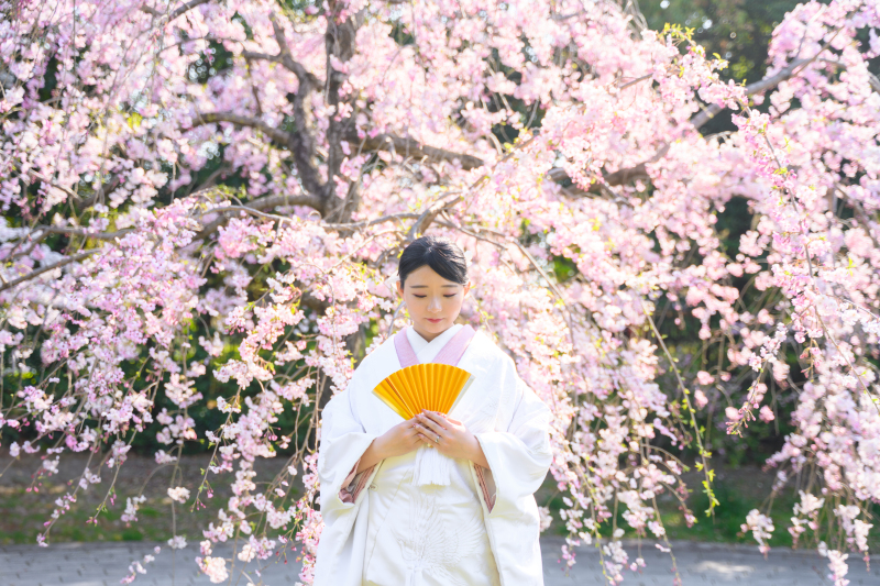 【予約多数☆桜ロケ！】スタジオ＋ロケーション撮影 &yen;148,000